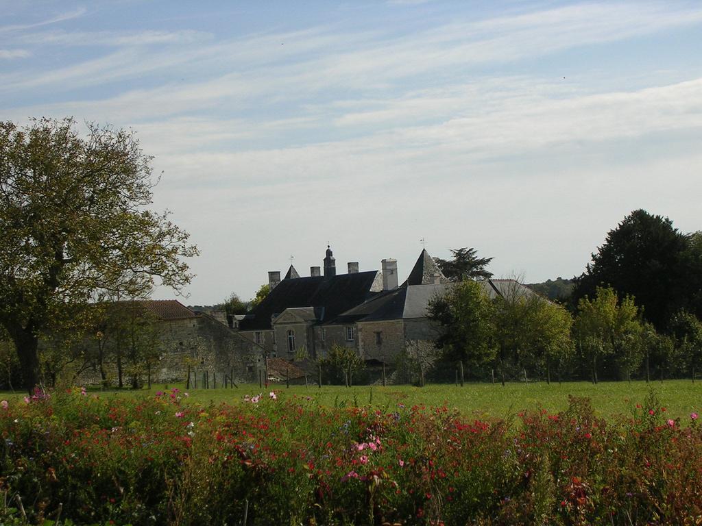 Chateau De La Noblaye Bed and Breakfast Lemere Eksteriør billede