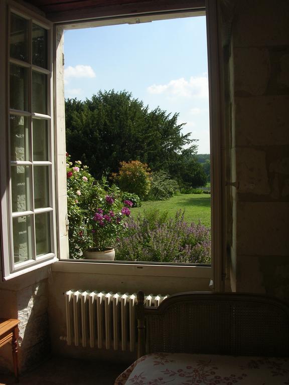 Chateau De La Noblaye Bed and Breakfast Lemere Eksteriør billede