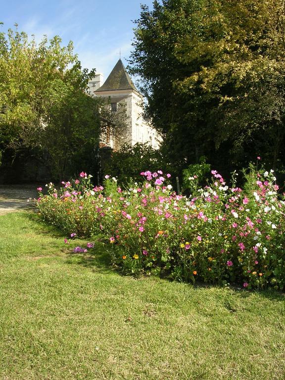 Chateau De La Noblaye Bed and Breakfast Lemere Eksteriør billede